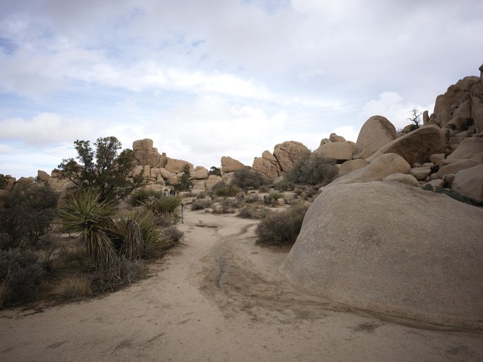 Hasselblad CFV 100C/907X · f/5.6 · 1/400s · ISO 64 · Taken: 2025-11-16 13:21:32 · Uploaded: 2026-06-30 21:23