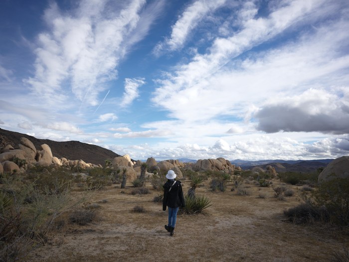 Hasselblad CFV 100C/907X · f/5.6 · 1/640s · ISO 64 · Taken: 2025-11-16 15:17:20 · Uploaded: 2026-06-30 21:26
