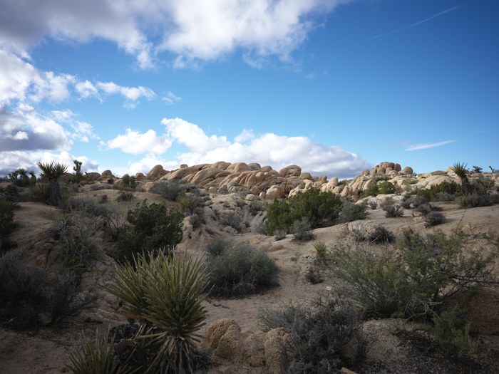 Hasselblad CFV 100C/907X · f/5.6 · 1/320s · ISO 64 · Taken: 2025-11-16 15:44:09 · Uploaded: 2026-06-30 21:29