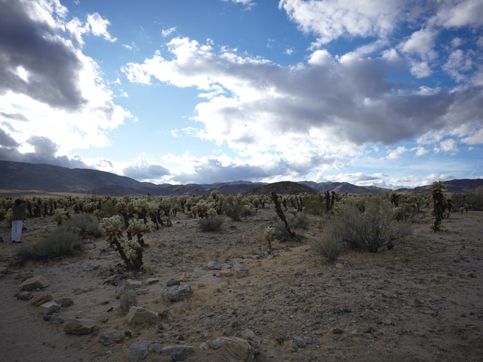 Hasselblad CFV 100C/907X · f/5.6 · 1/640s · ISO 64 · Taken: 2025-11-16 16:05:53 · Uploaded: 2026-06-30 21:29