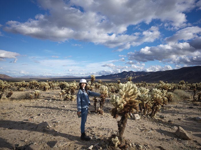 AZ Life/2025 JoshuaTree