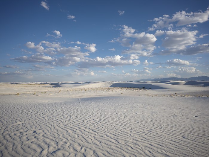 LastRoadTrip/2026 White Sand