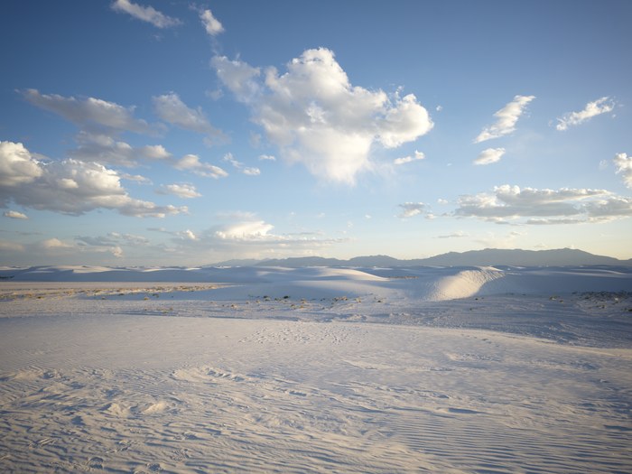 Hasselblad CFV 100C/907X · XCD 28P · f/5.6 · 1/160s · ISO 64 · Taken: 2026-05-21 17:38:24 · Uploaded: 2026-06-28 21:46