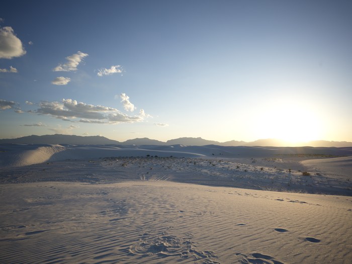 Hasselblad CFV 100C/907X · XCD 28P · f/5.6 · 1/320s · ISO 64 · Taken: 2026-05-21 17:38:28 · Uploaded: 2026-06-28 21:46