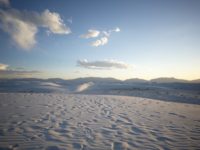 Hasselblad CFV 100C/907X · XCD 28P · f/4.8 · 1/200s · ISO 64 · Taken: 2026-05-21 17:42:58 · Uploaded: 2026-06-28 21:46