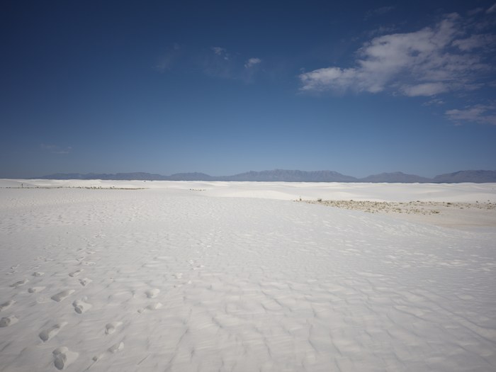 Hasselblad CFV 100C/907X · XCD 28P · f/8 · 1/800s · ISO 64 · Taken: 2026-05-22 07:29:50 · Uploaded: 2026-06-28 21:51