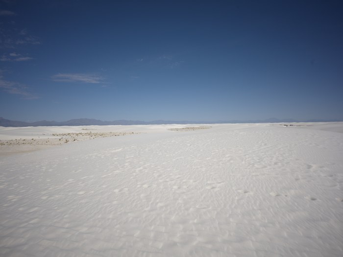 Hasselblad CFV 100C/907X · XCD 28P · f/8 · 1/800s · ISO 64 · Taken: 2026-05-22 07:29:54 · Uploaded: 2026-06-28 21:51