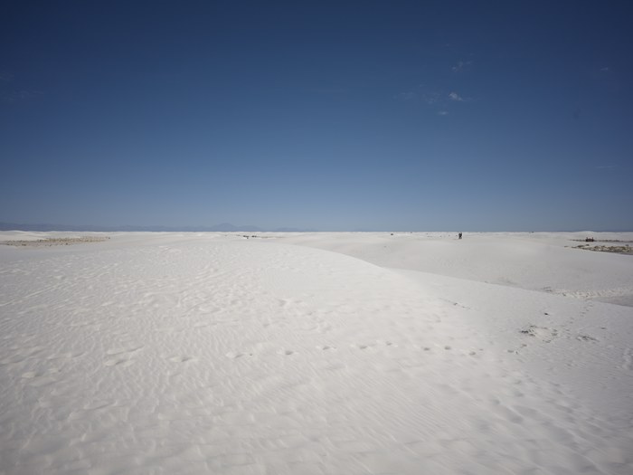 Hasselblad CFV 100C/907X · XCD 28P · f/8 · 1/800s · ISO 64 · Taken: 2026-05-22 07:29:56 · Uploaded: 2026-06-28 21:51
