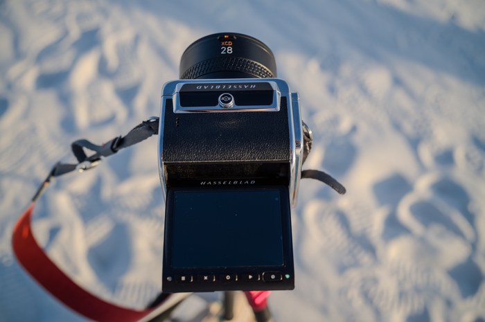 LEICA M11 · R-Adapter M · f/11 · 1/180s · ISO 64 · Taken: 2026-05-21 17:31:18 · Uploaded: 2026-06-28 22:07