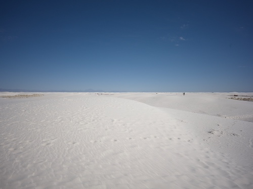 B00052553FR1779434996.jpg