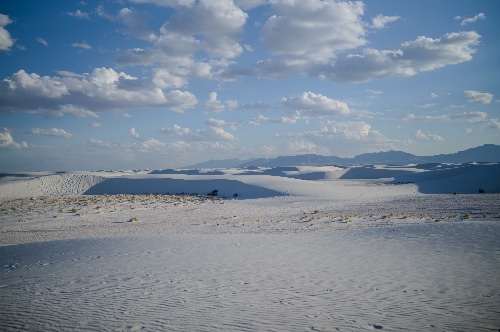 L1004203.jpg