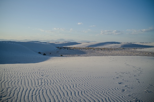 L1004228.jpg