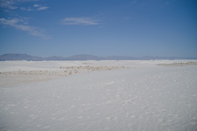 L1004272.jpg