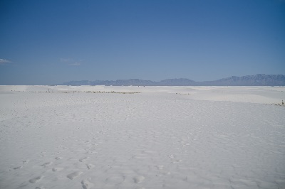 L1004273.jpg