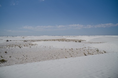 L1004274.jpg