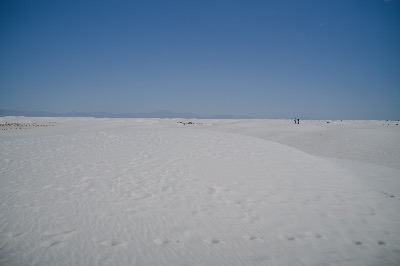 L1004275.jpg