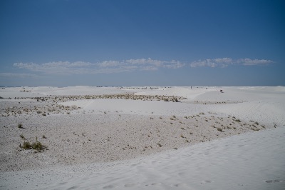L1004284.jpg