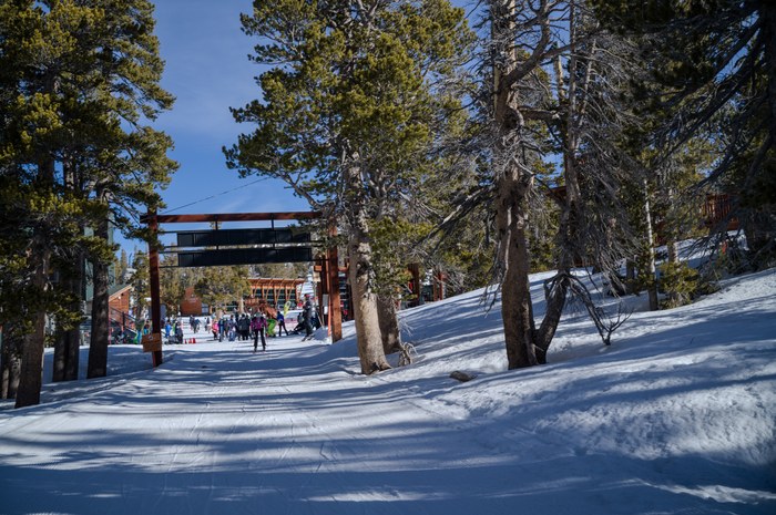 LEICA M11 · Apo-Summicron-M 1:2/35 ASPH. · f/6.8 · 1/350s · ISO 64 · Taken: 2026-03-09 09:39:12 · Uploaded: 2026-06-29 00:06