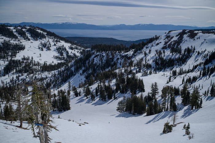 Ski/2026 Paliside Tahoe