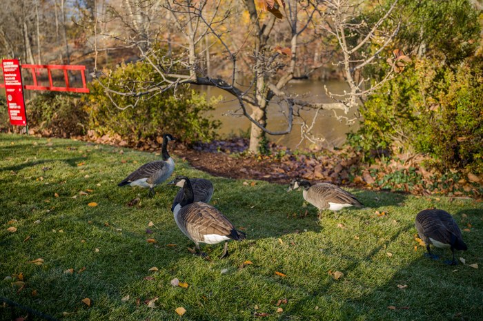 LEICA M11 · Apo-Summicron-M 1:2/35 ASPH. · f/2.4 · 1/320s · ISO 64 · Taken: 2025-11-28 14:48:15 · Uploaded: 2026-07-26 20:47